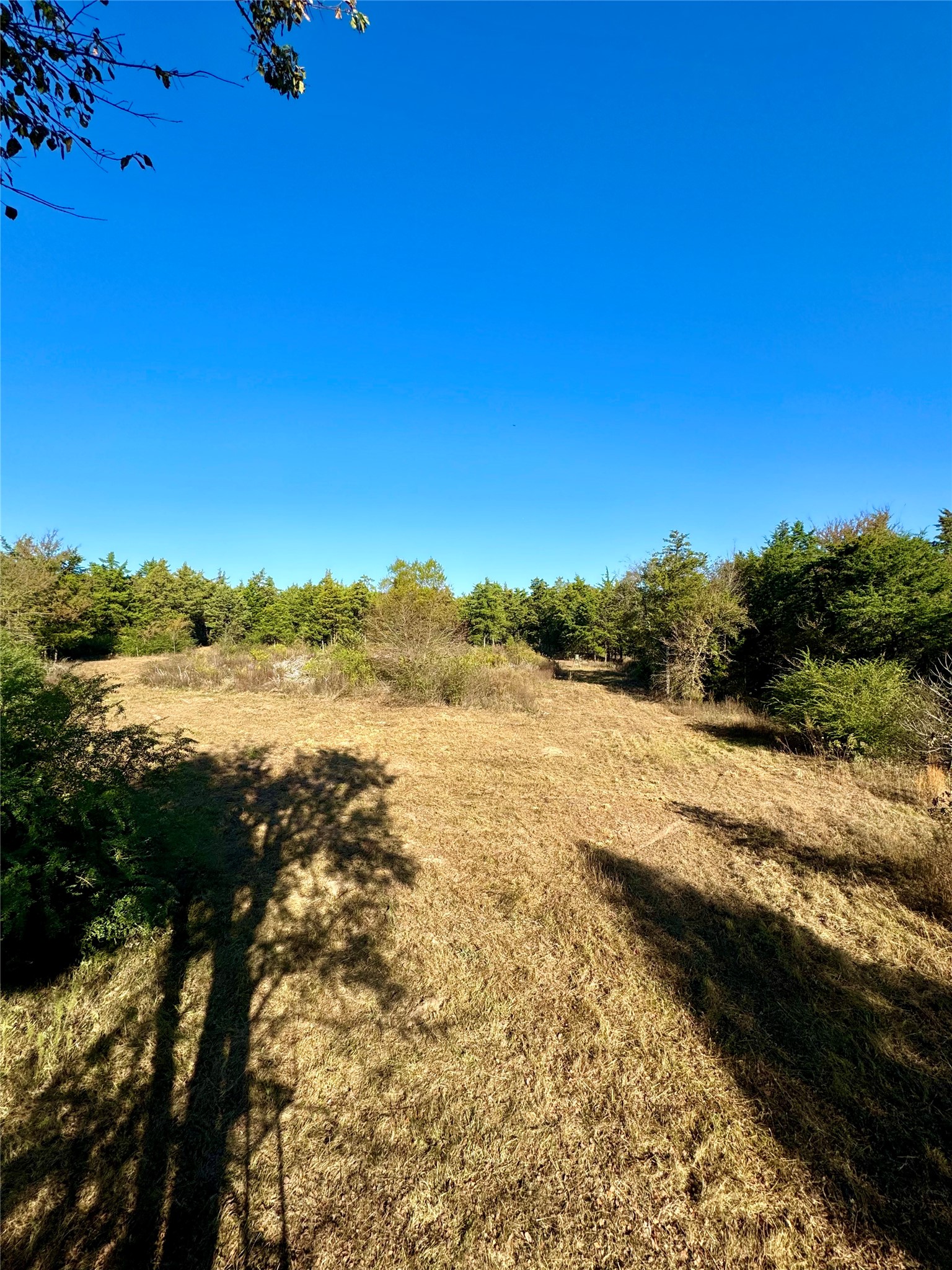 42 Acres County Road 2400 Pickton TX 75471
