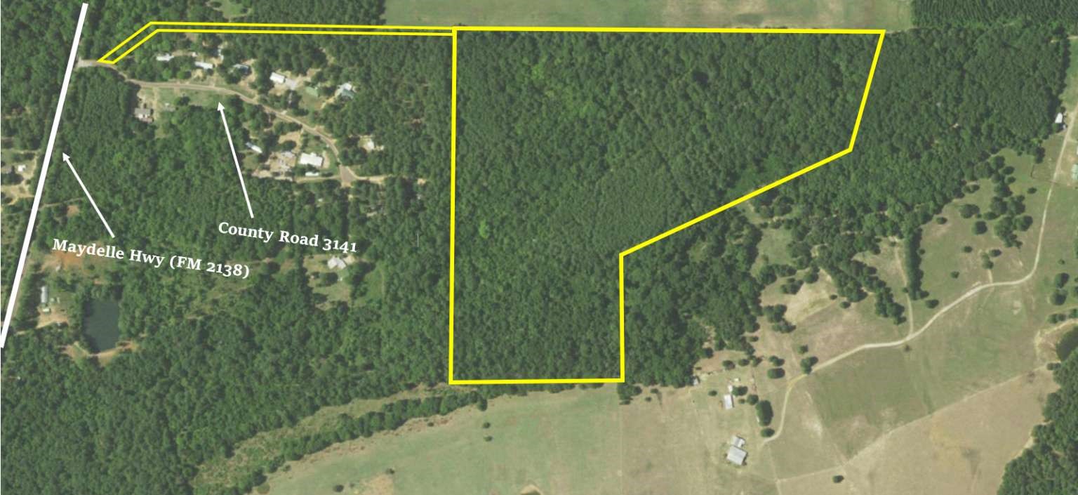 167 Cr 3141 Jacksonville TX 75766