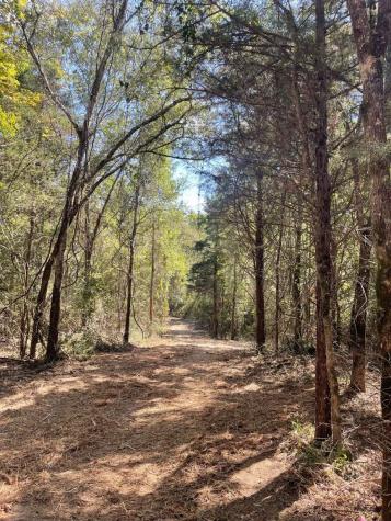 167 Cr 3141 Jacksonville TX 75766