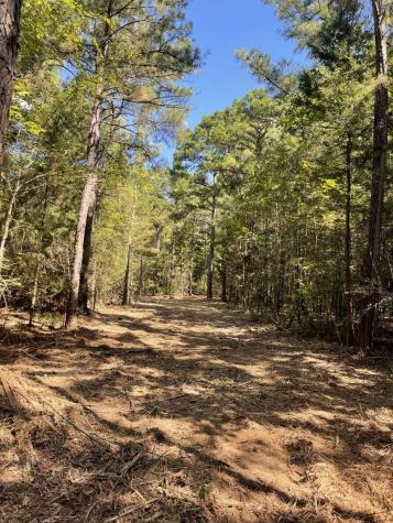 167 Cr 3141 Jacksonville TX 75766