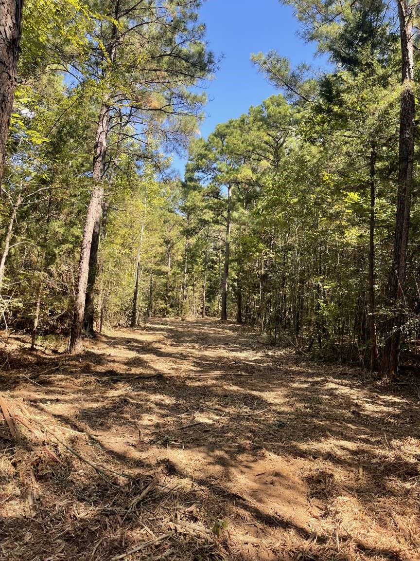 167 Cr 3141 Jacksonville TX 75766