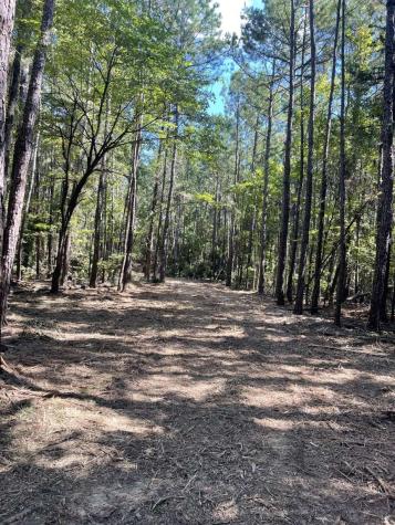 167 Cr 3141 Jacksonville TX 75766