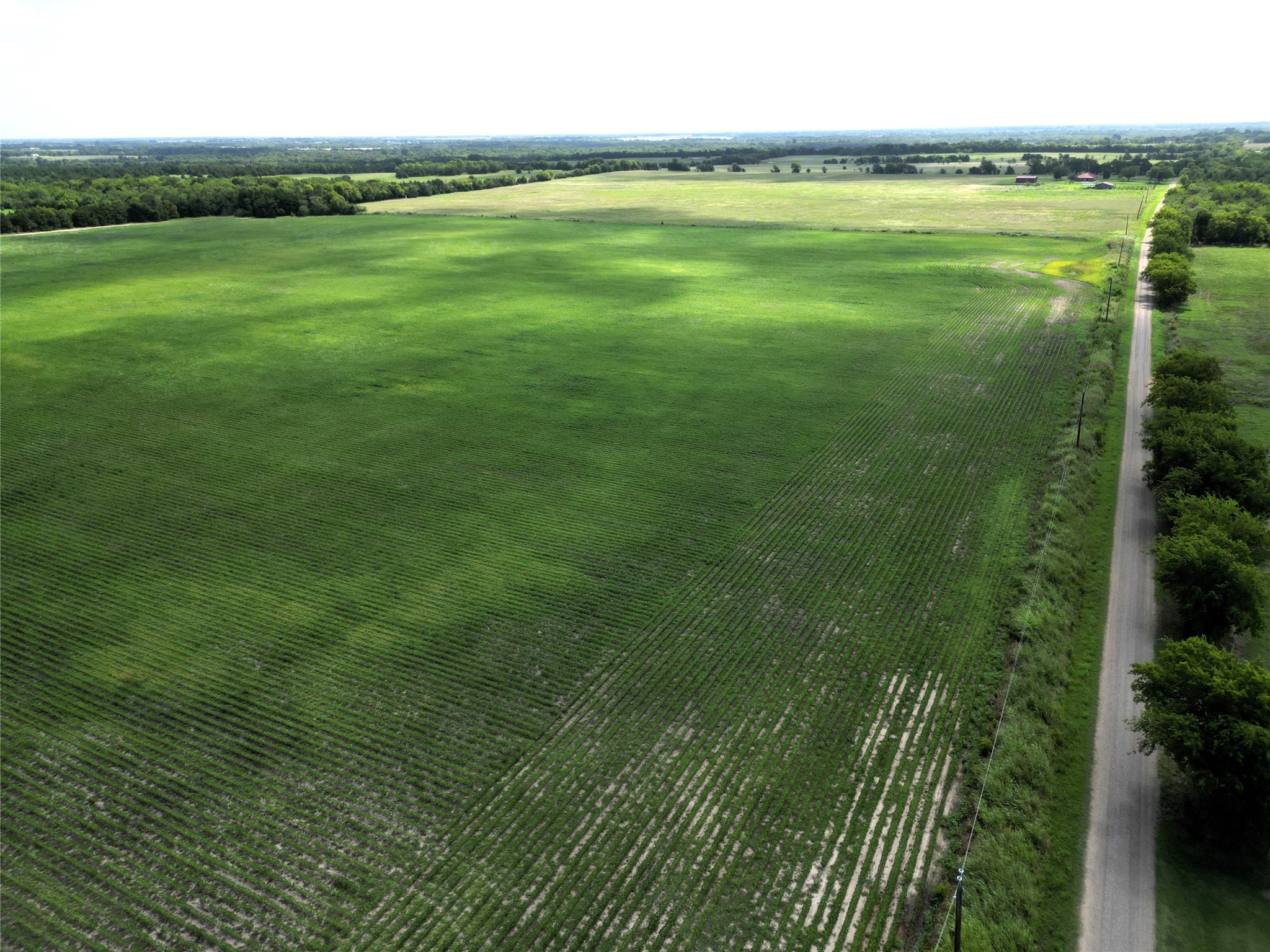 48AC Cr 2165 Klondike TX 75440