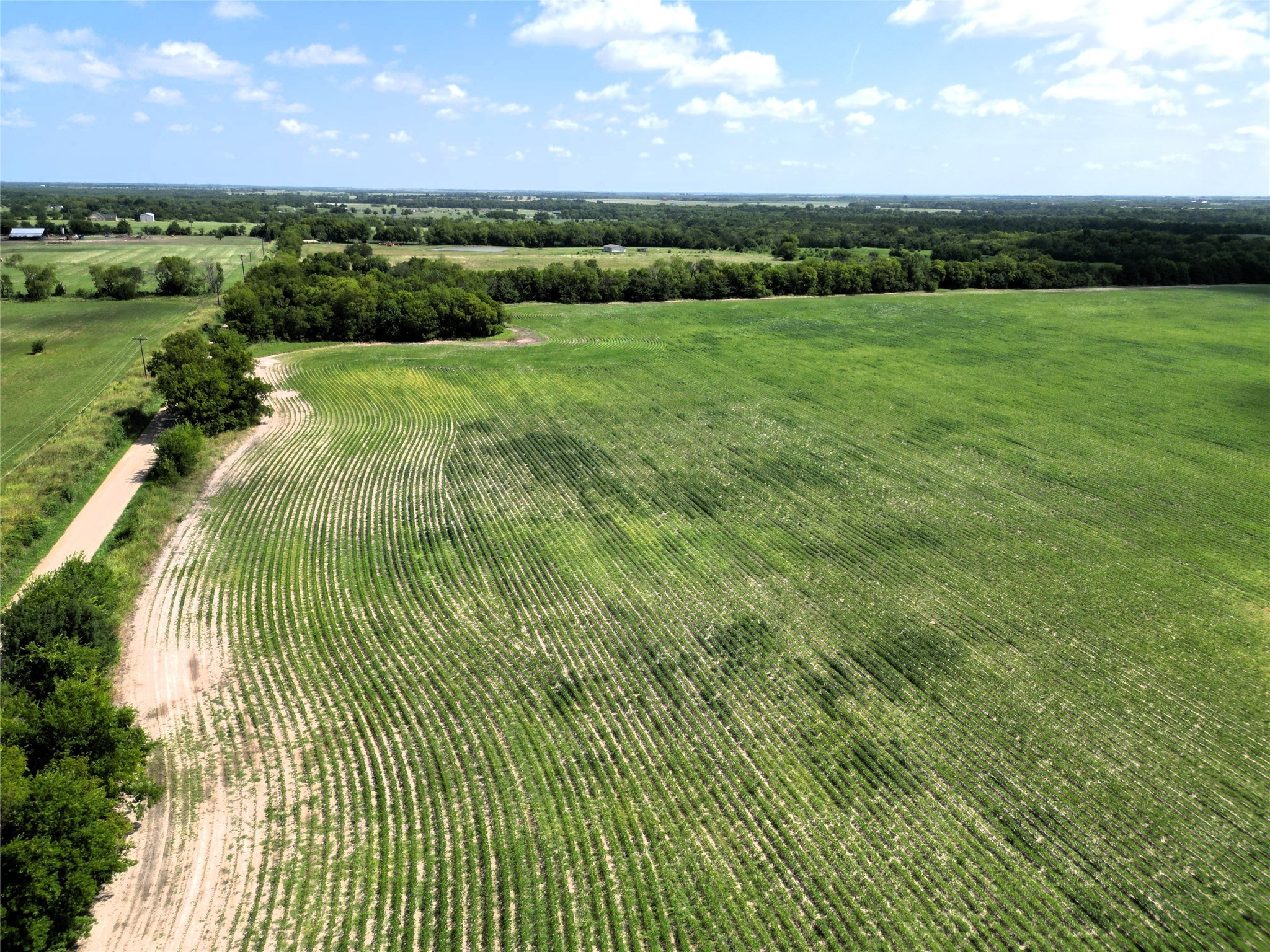 48AC Cr 2165 Klondike TX 75440