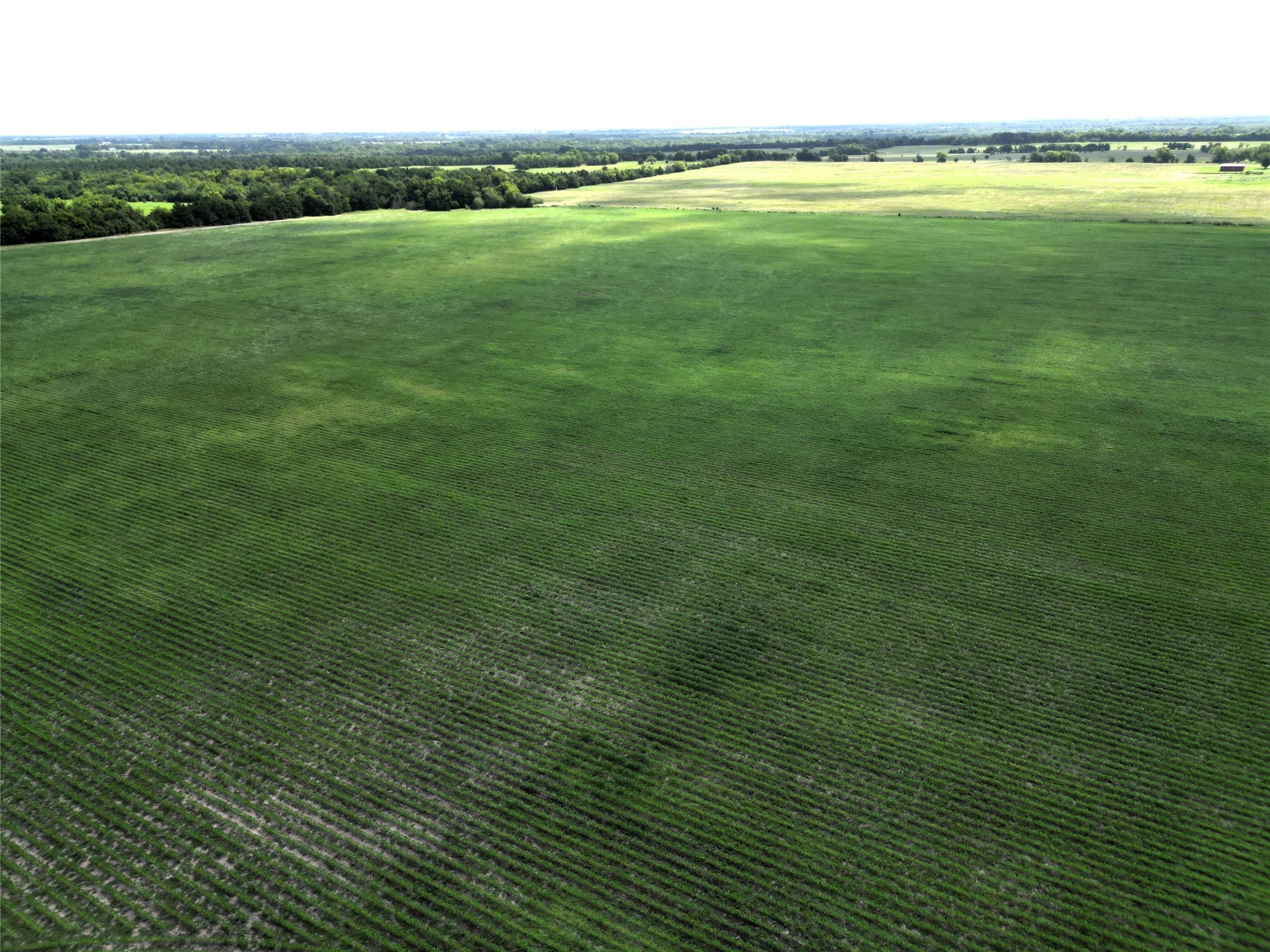 48AC Cr 2165 Klondike TX 75440