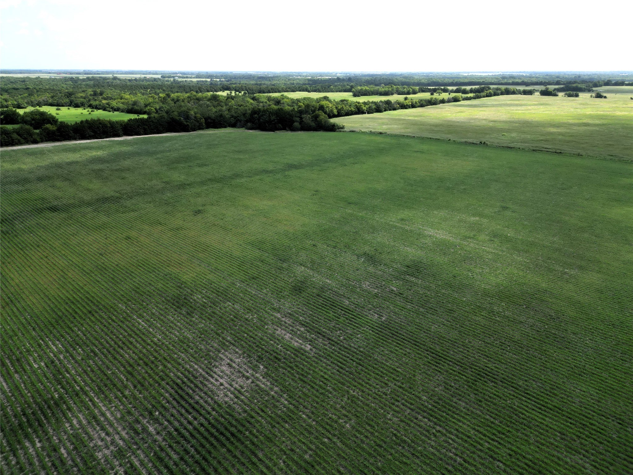 48AC Cr 2165 Klondike TX 75440