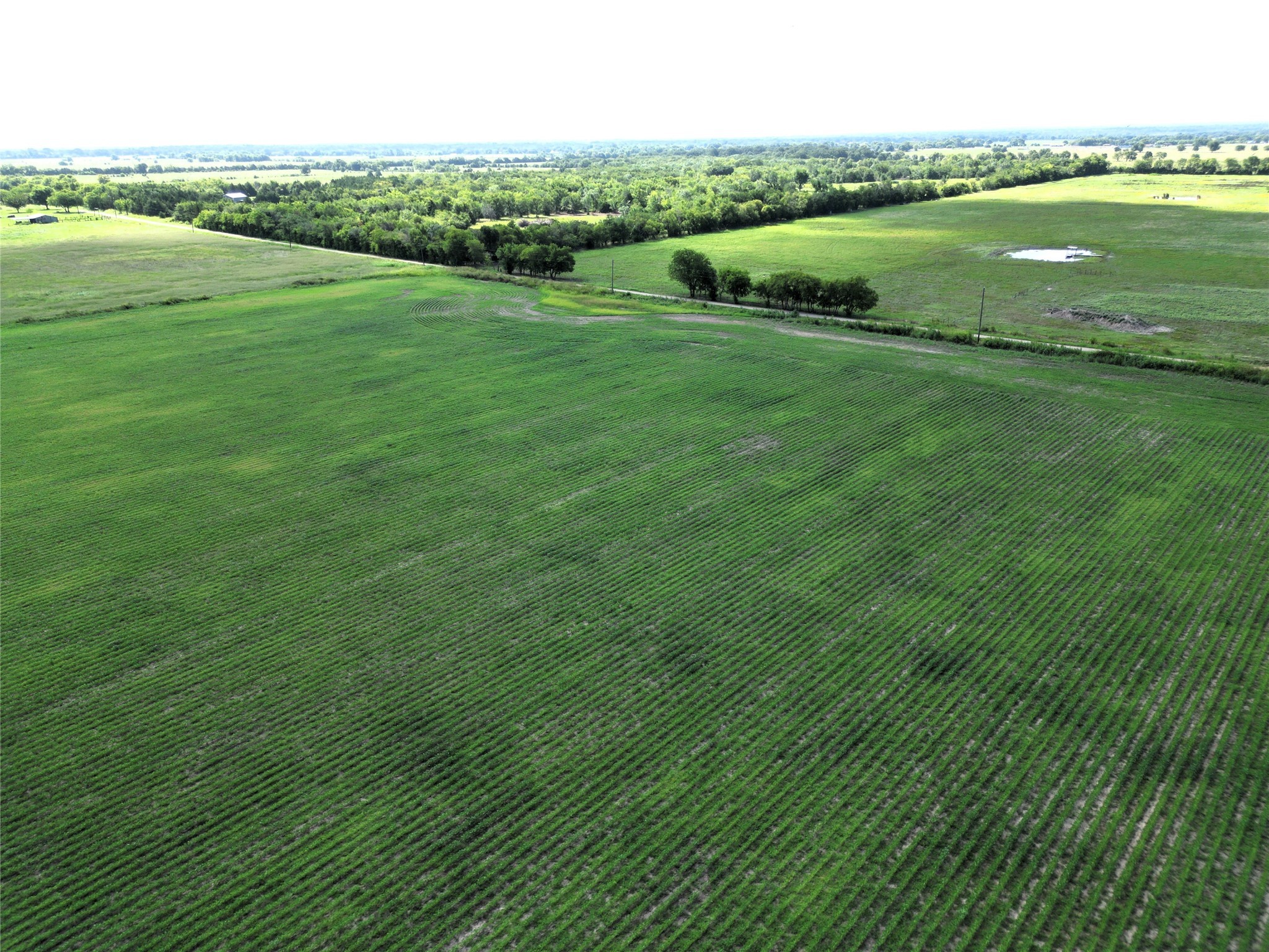 48AC Cr 2165 Klondike TX 75440