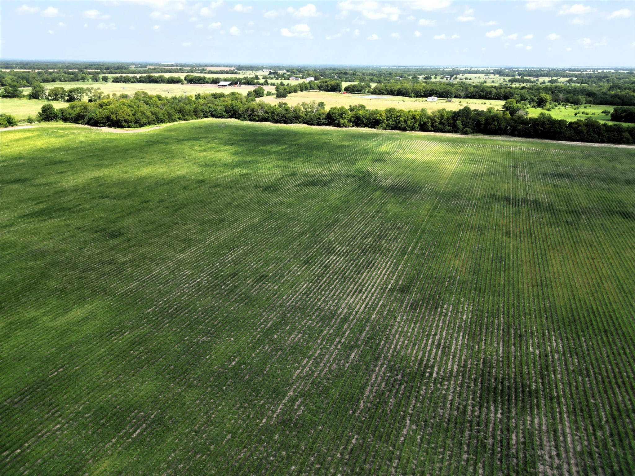 48AC Cr 2165 Klondike TX 75440