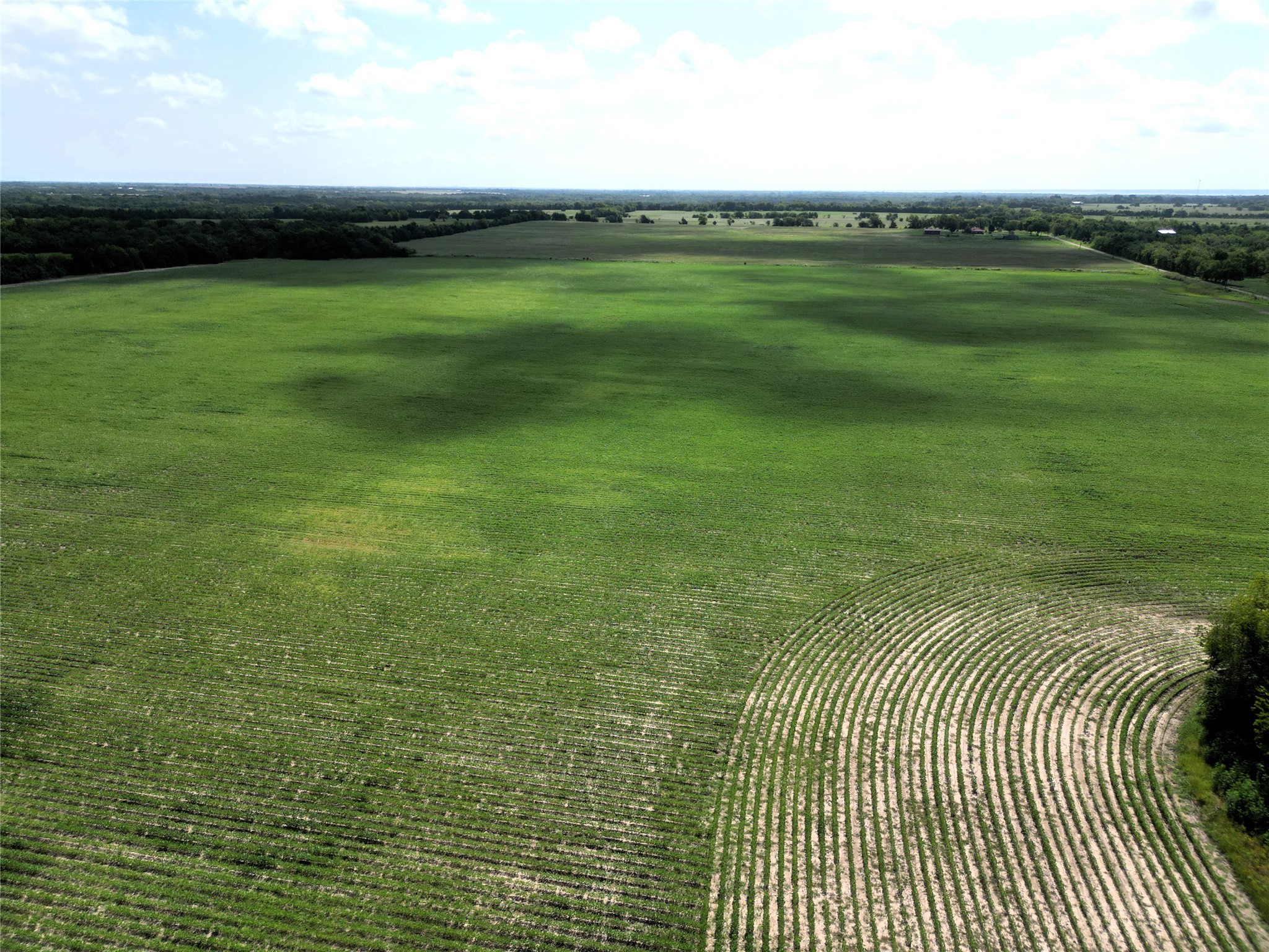 48AC Cr 2165 Klondike TX 75440