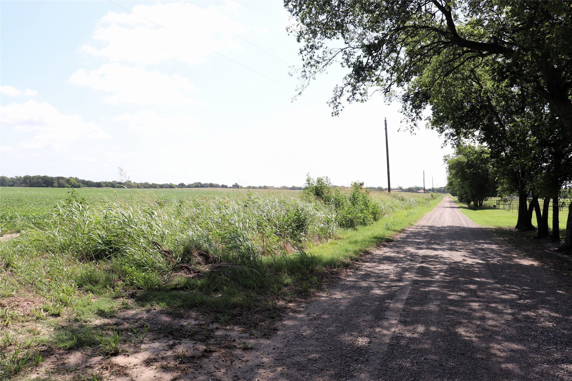 48AC Cr 2165 Klondike TX 75440