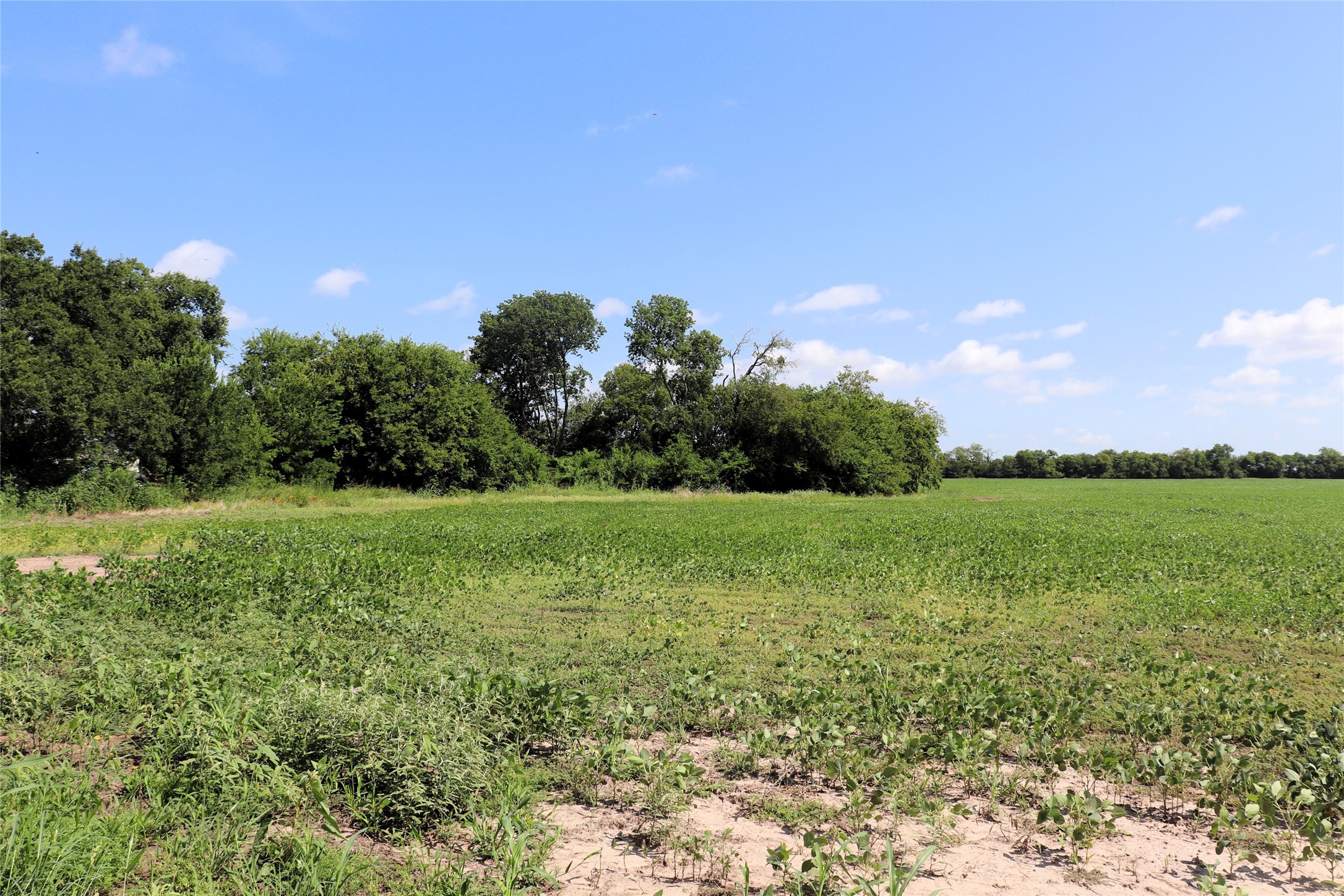 48AC Cr 2165 Klondike TX 75440