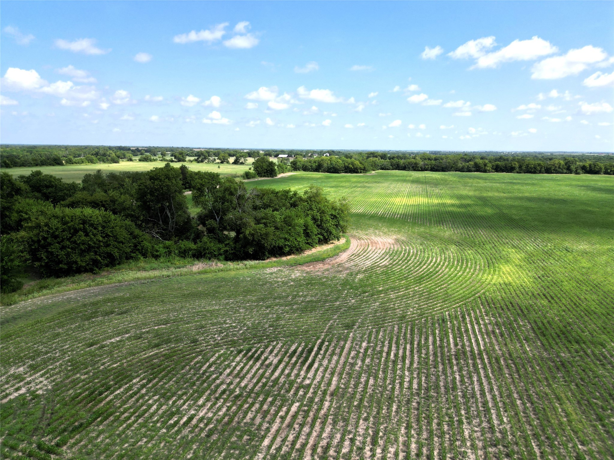 48AC Cr 2165 Klondike TX 75440