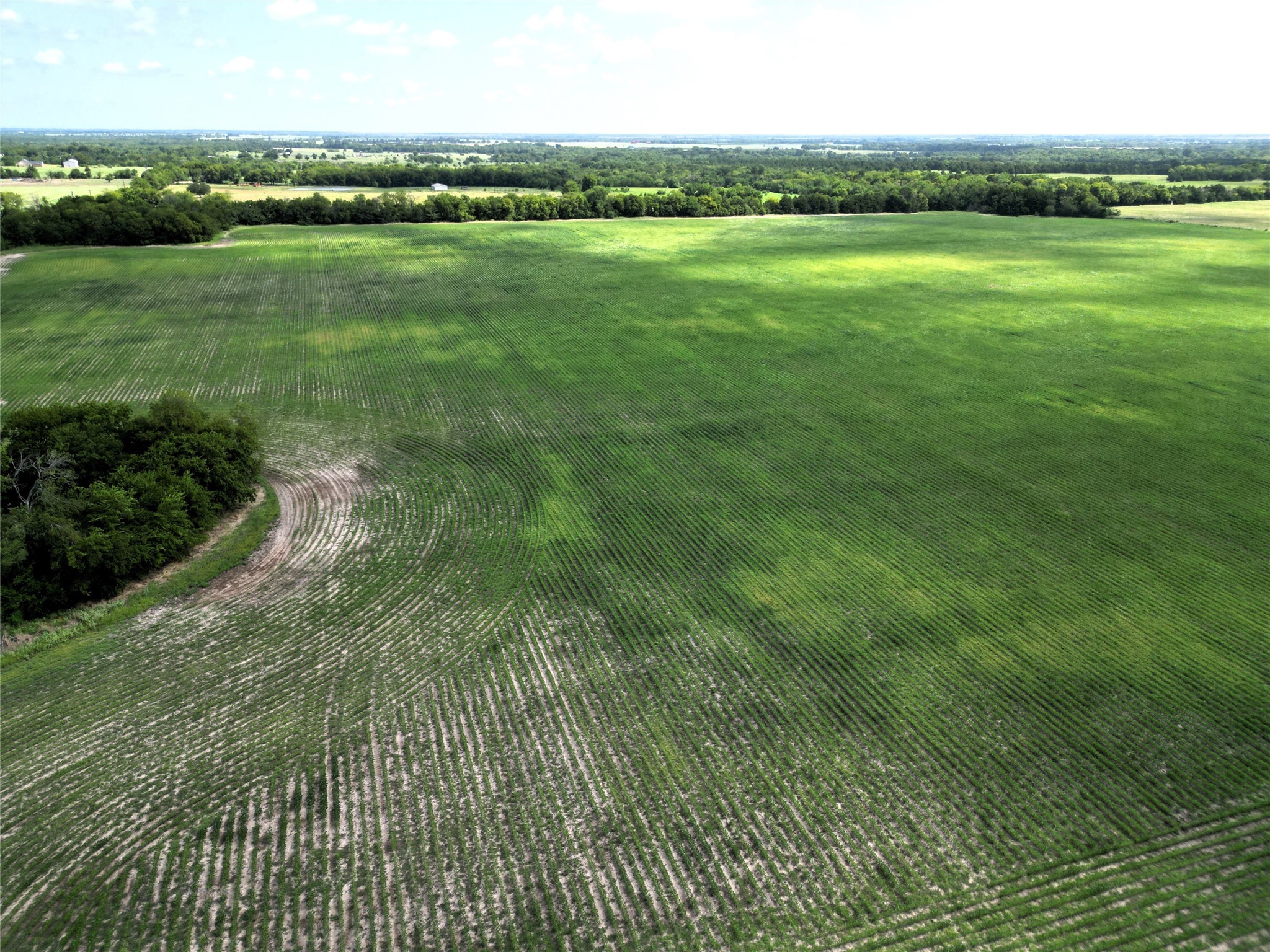 48AC Cr 2165 Klondike TX 75440