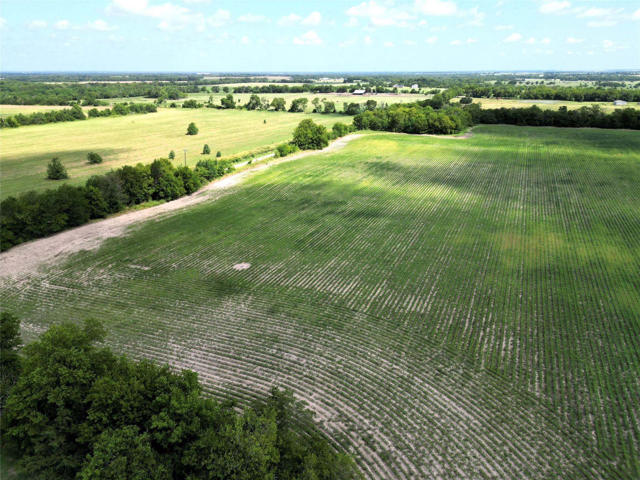 48AC Cr 2165 Klondike TX 75440