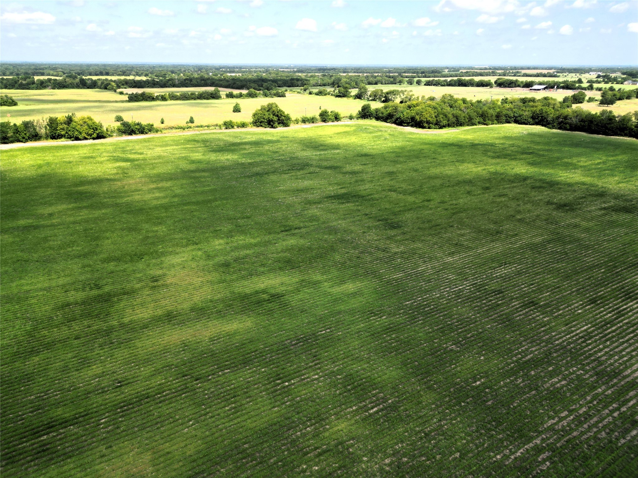 48AC Cr 2165 Klondike TX 75440