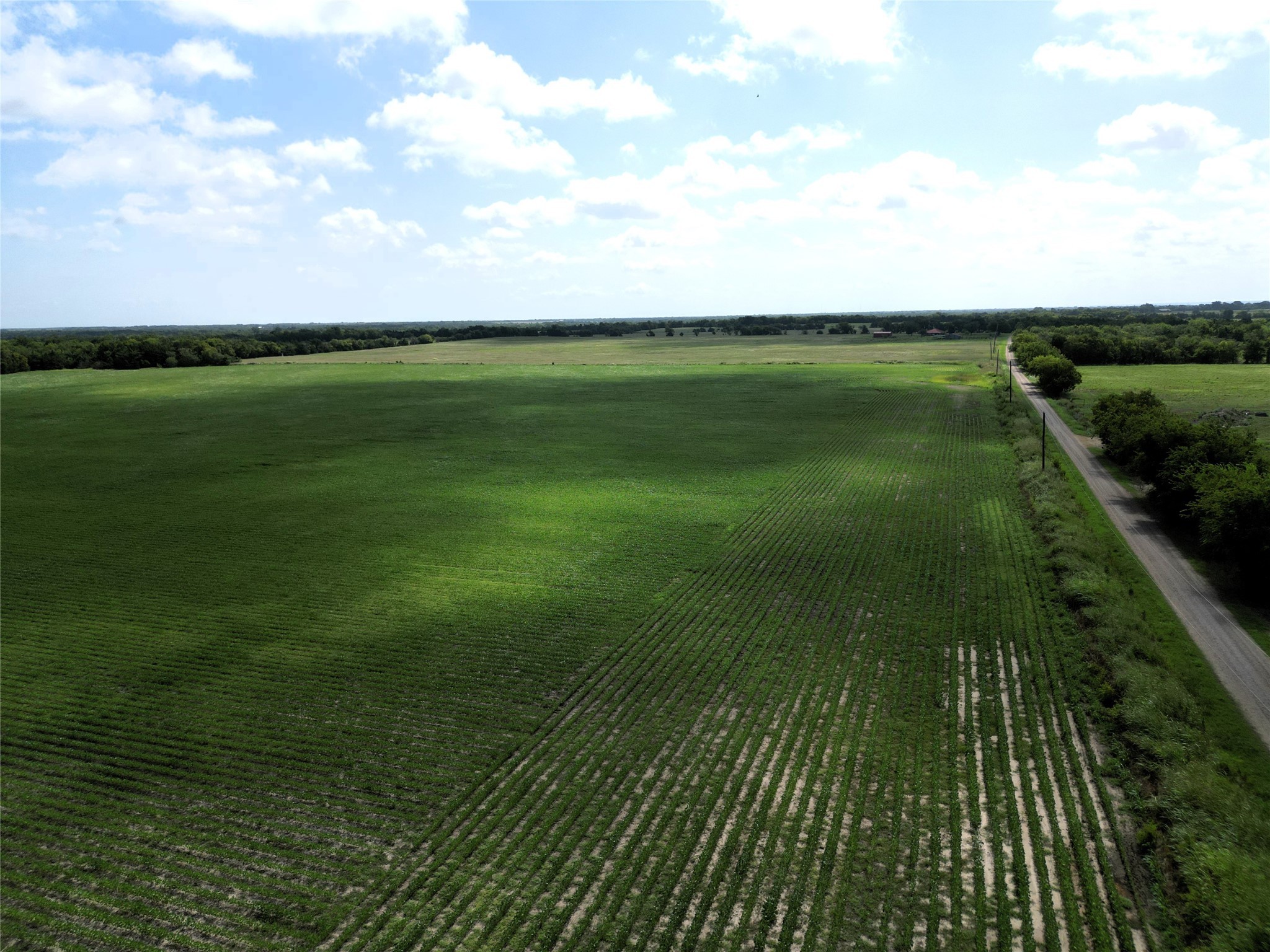 48AC Cr 2165 Klondike TX 75440