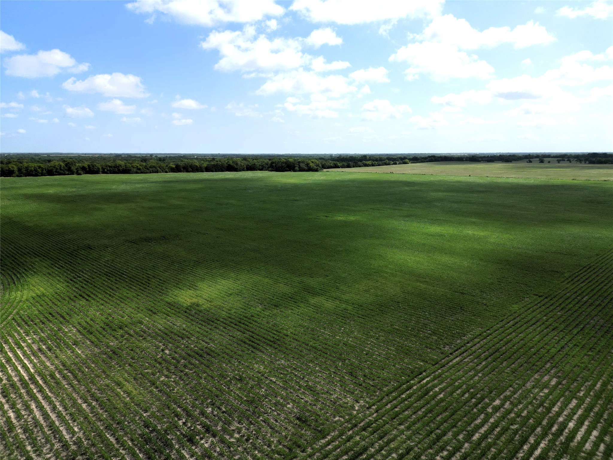 48AC Cr 2165 Klondike TX 75440
