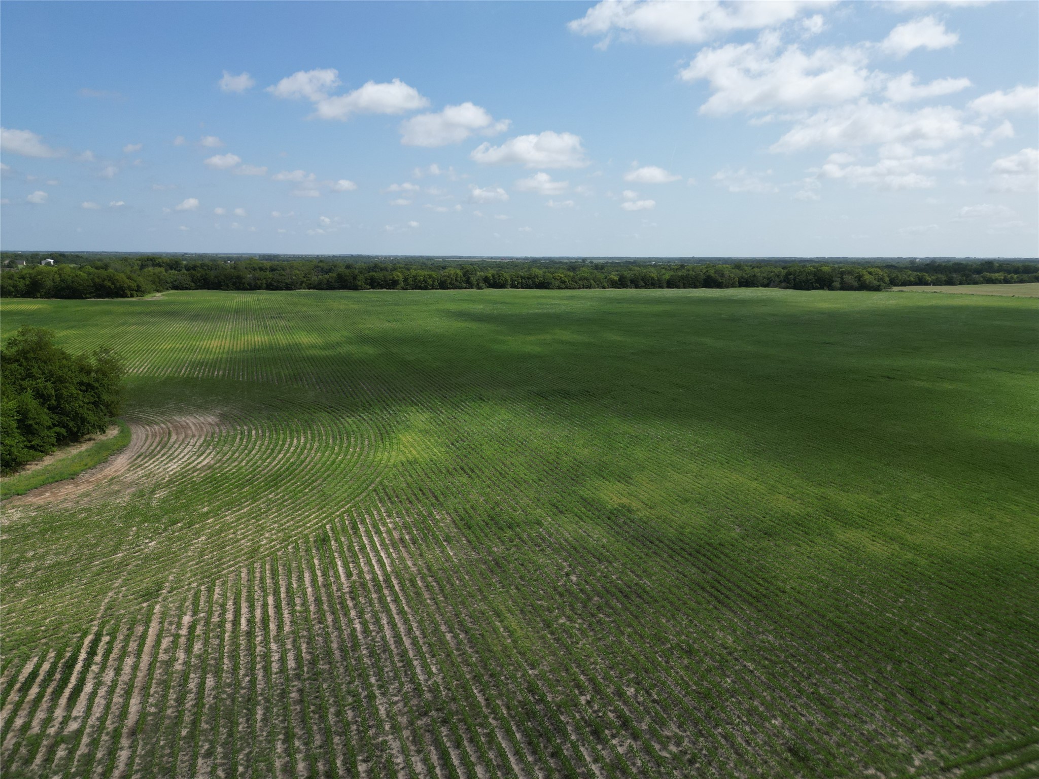 48AC Cr 2165 Klondike TX 75440