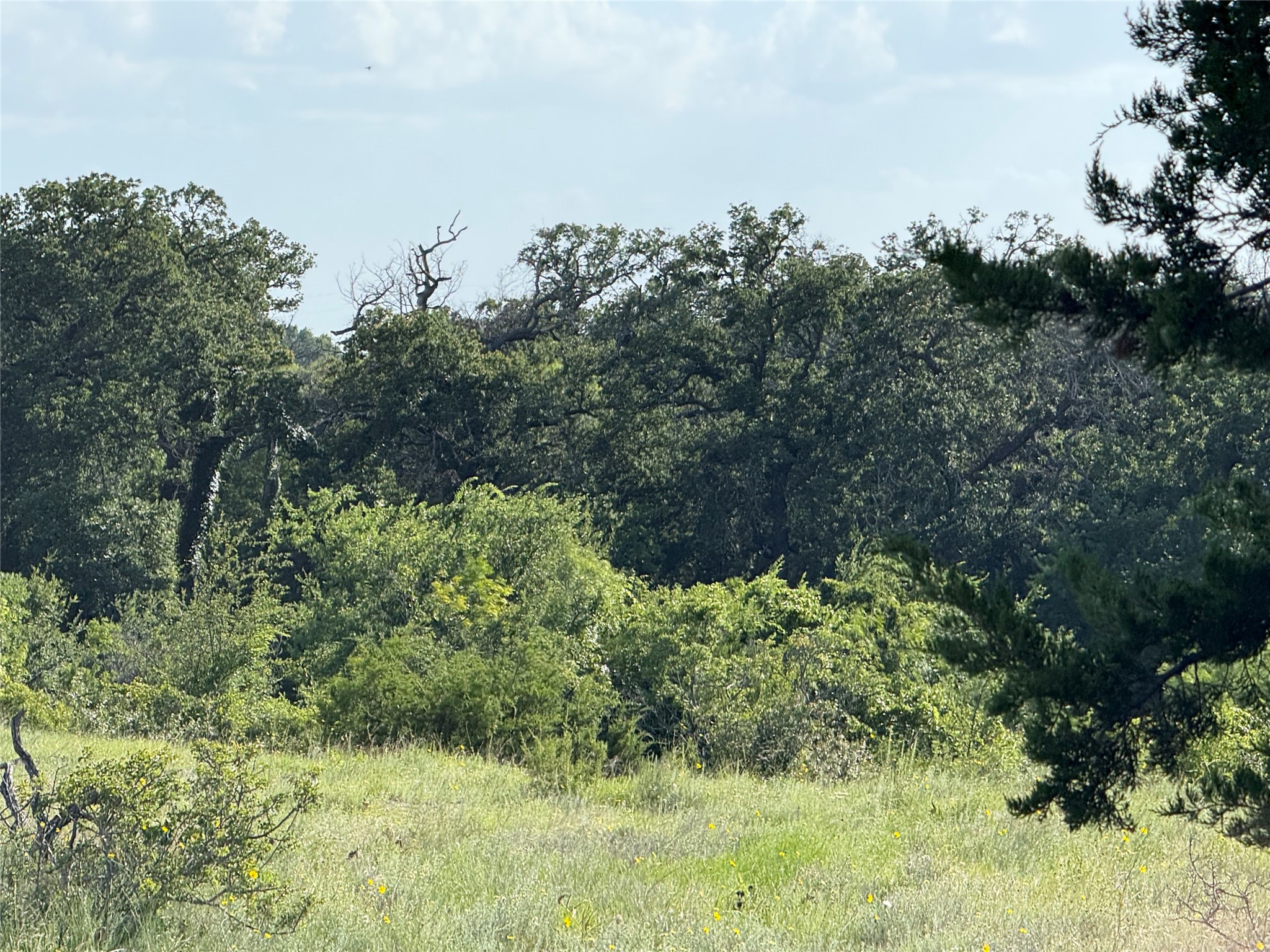 TBD1 Cr 620 Hamilton TX 76531