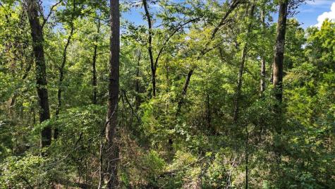 Tbd Pr 4080 Gilmer TX 75644