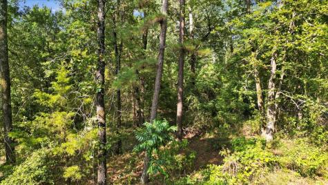 Tbd Pr 4080 Gilmer TX 75644