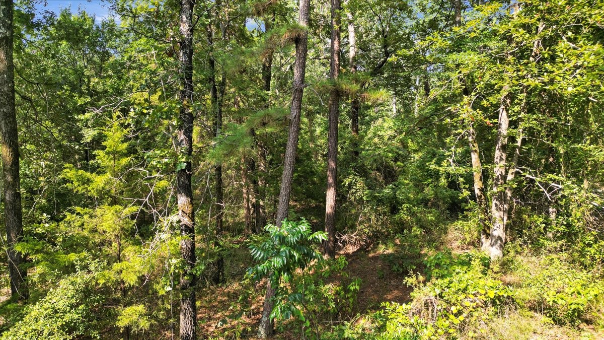 Tbd Pr 4080 Gilmer TX 75644