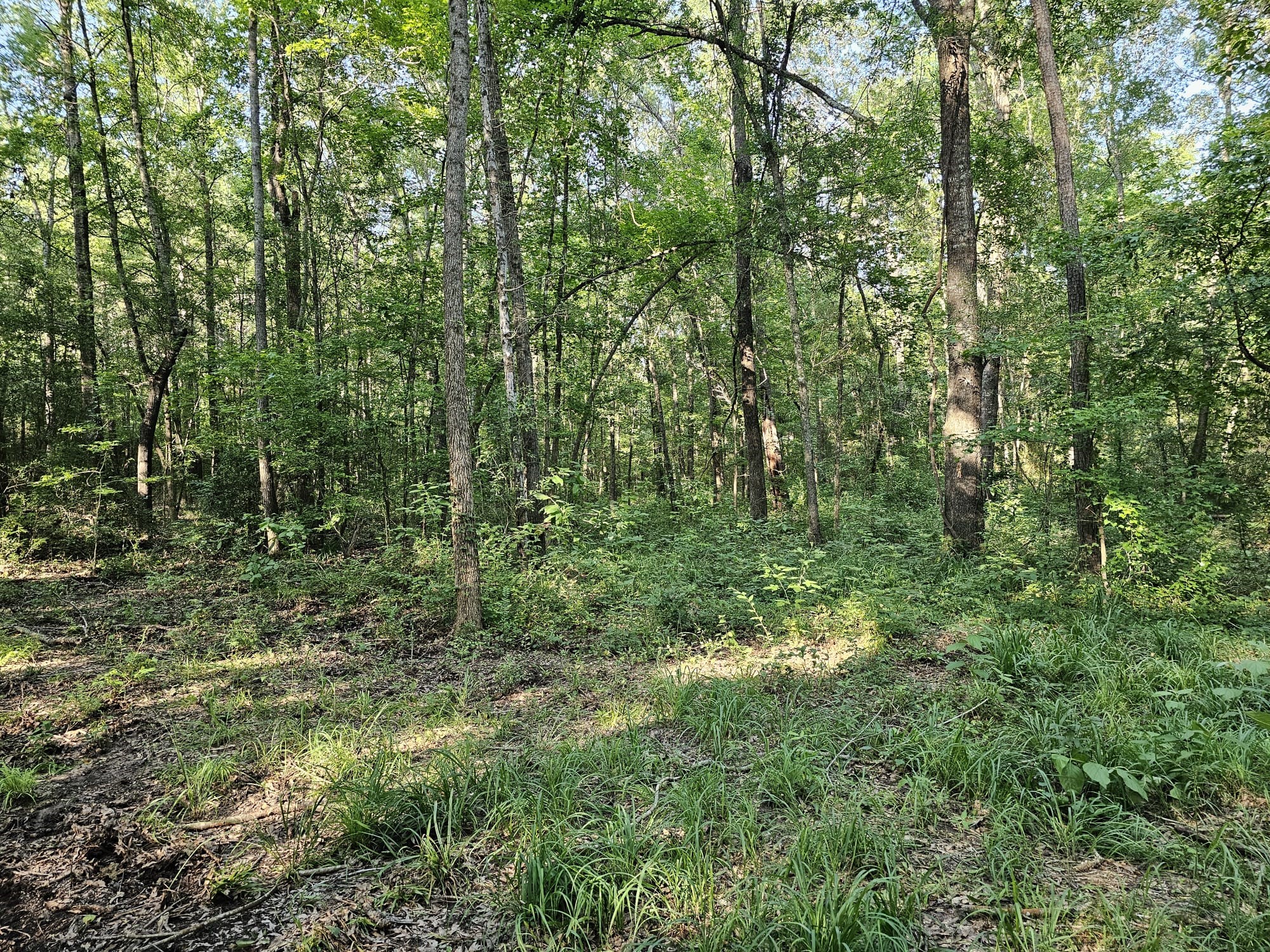 Tbd Strickland Road Big Sandy TX 75755