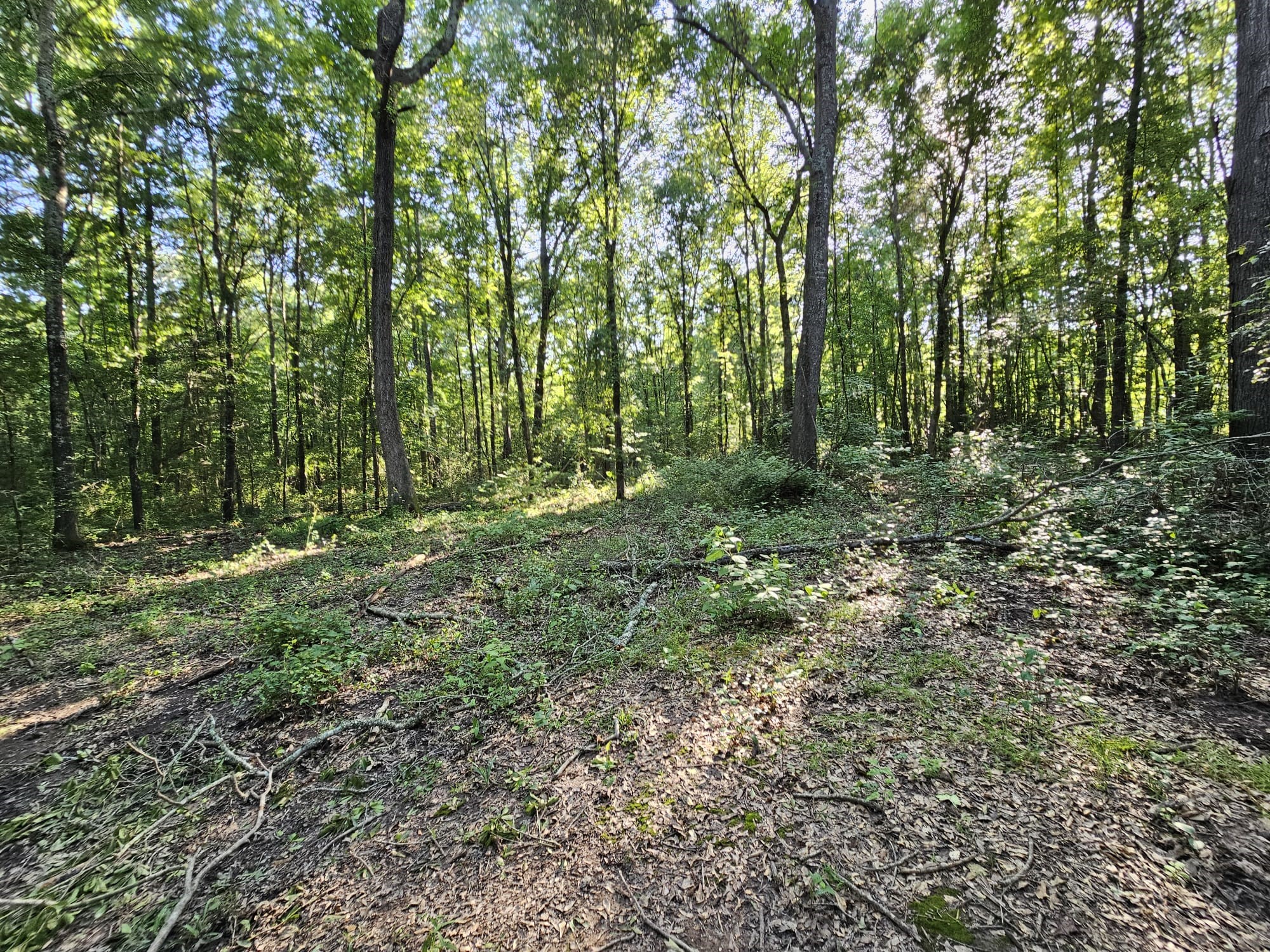Tbd Strickland Road Big Sandy TX 75755
