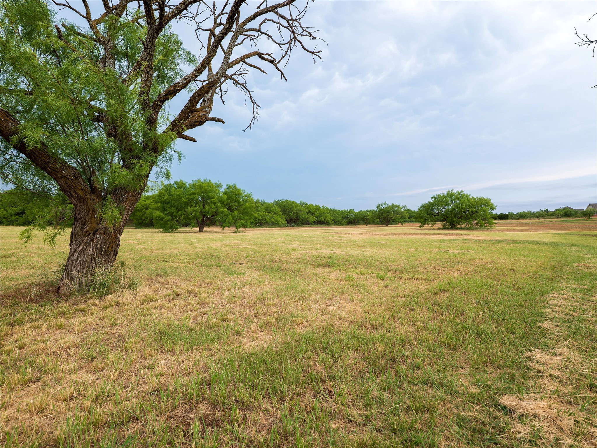 217 Colt Road Abilene TX 79606