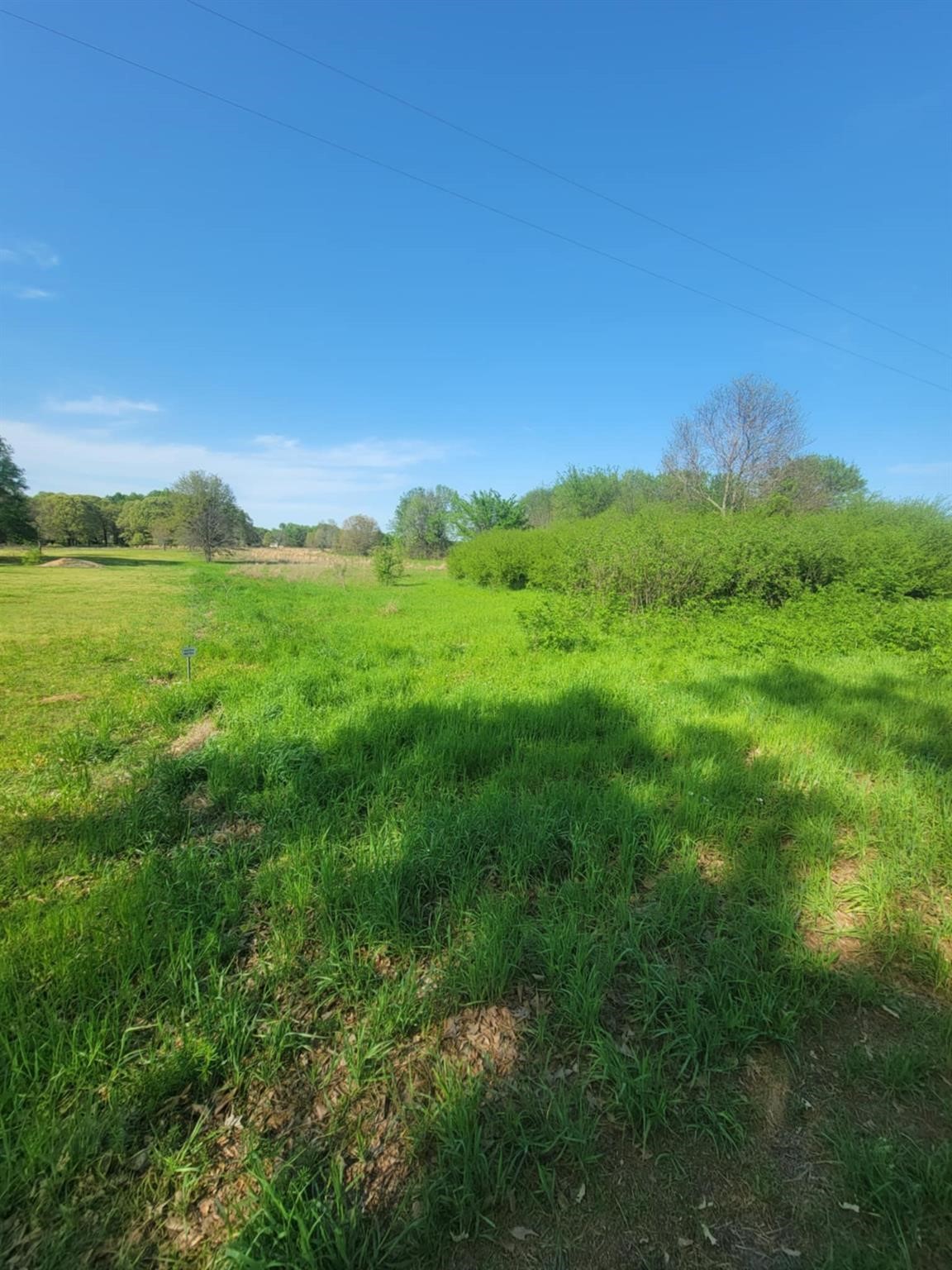 1821 County Road 1570 Alba TX 75410