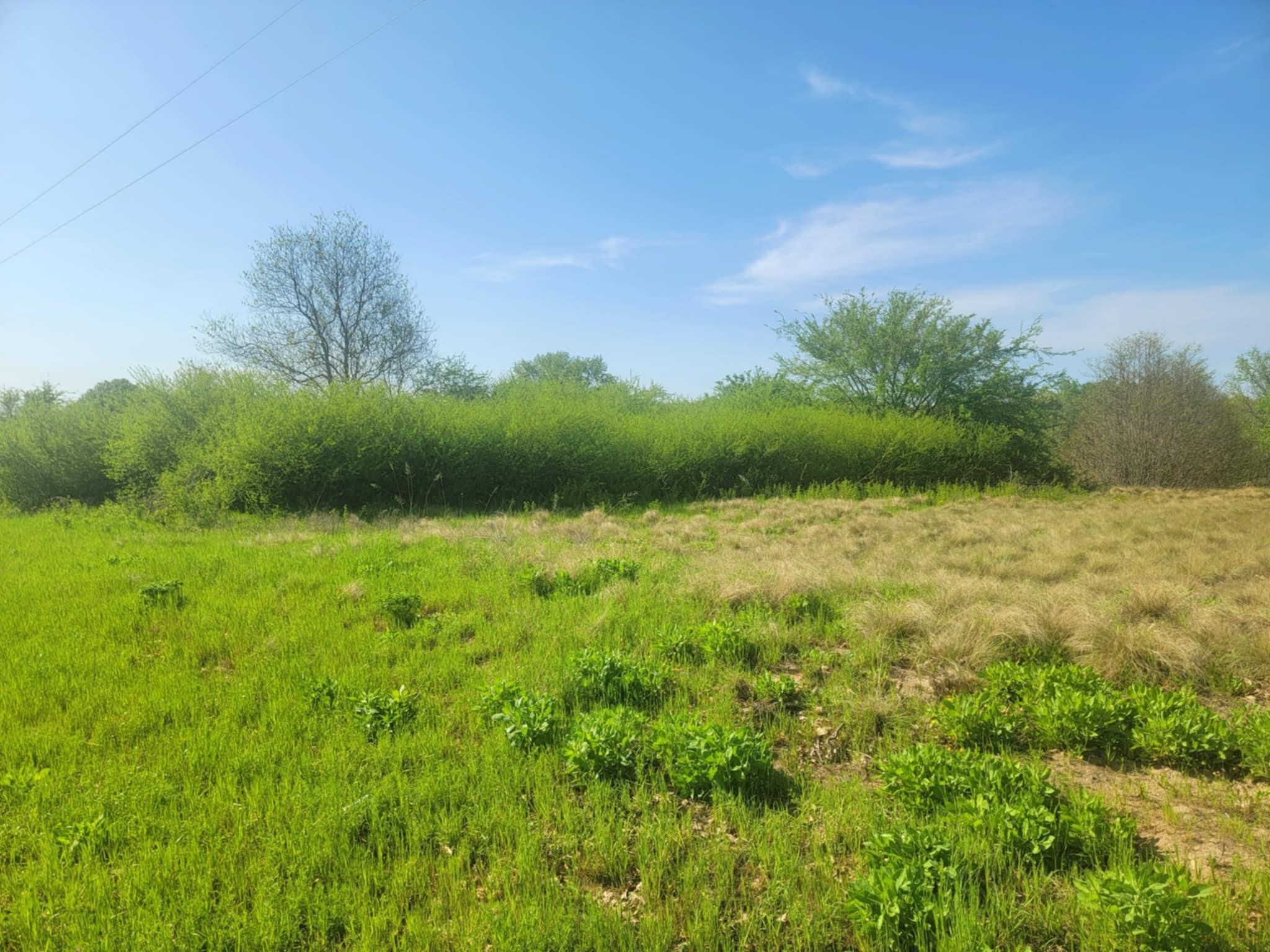 1821 County Road 1570 Alba TX 75410