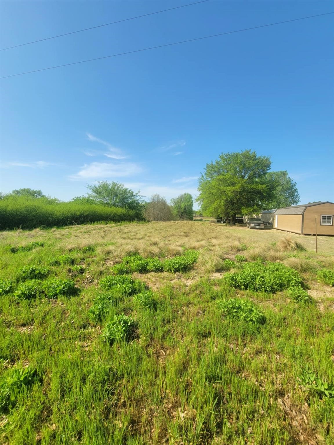 1821 County Road 1570 Alba TX 75410