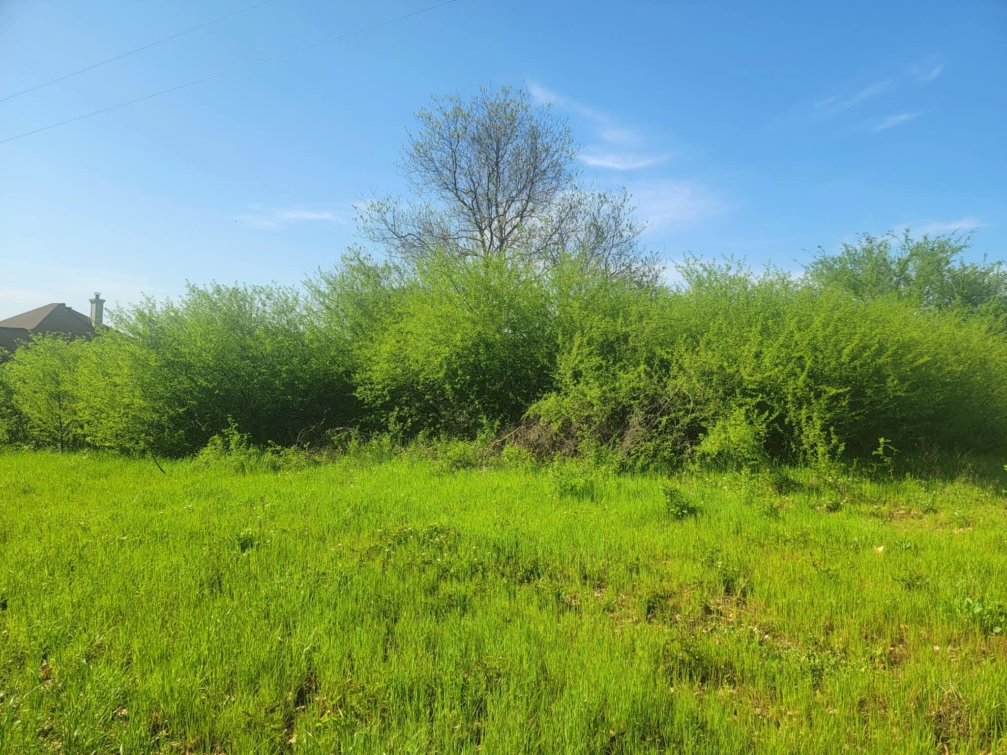 1821 County Road 1570 Alba TX 75410