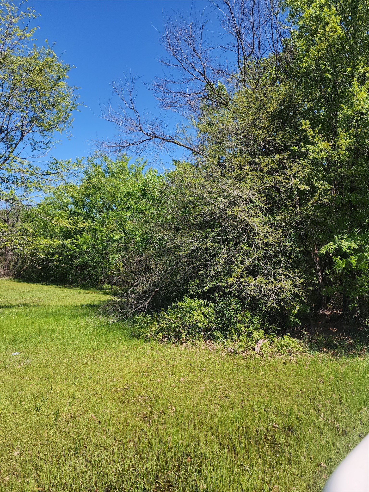116 Lindy Lee Lane Mabank TX 75156