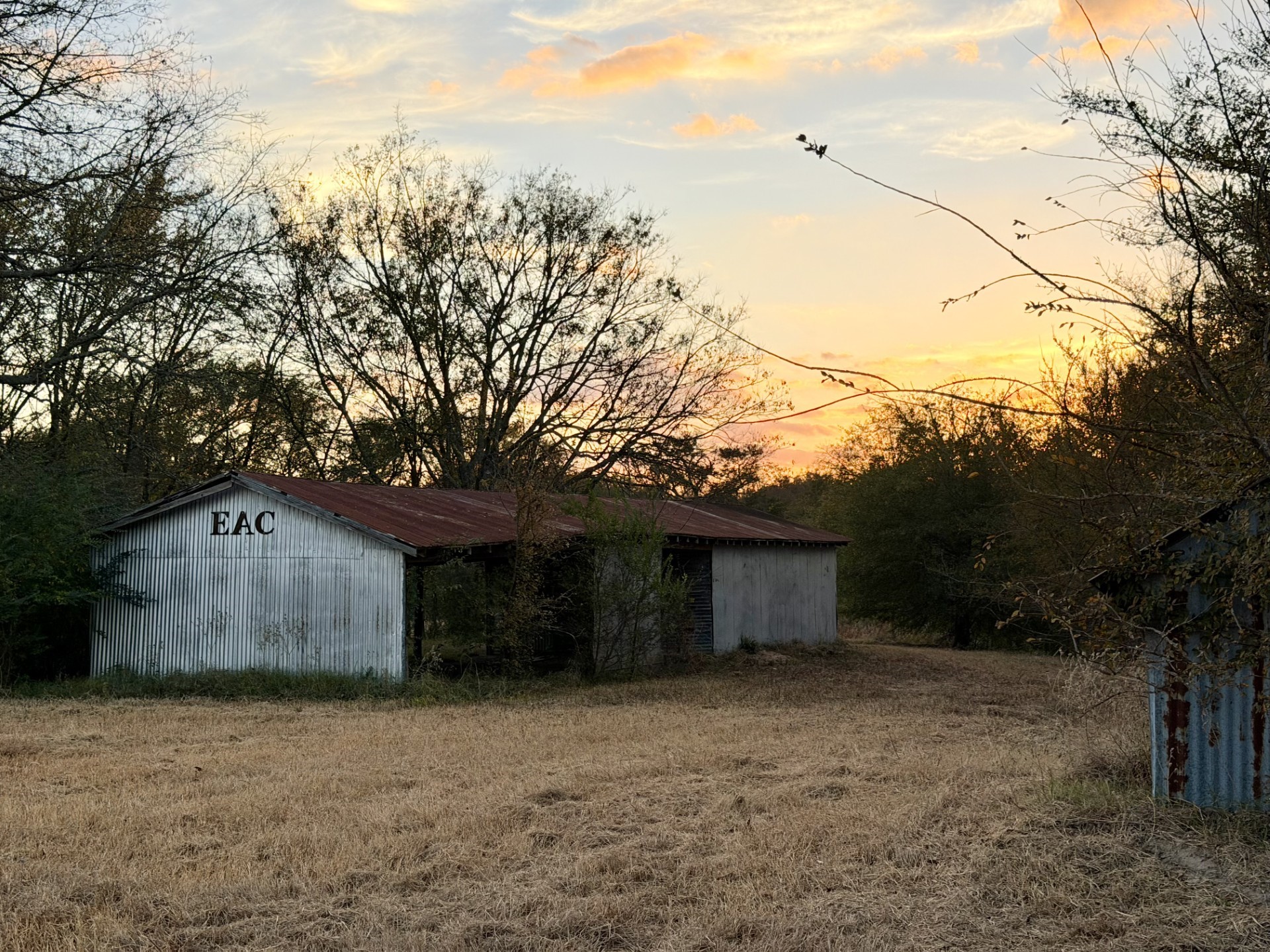 Tbd Rs County Road 1150 Emory TX 75440
