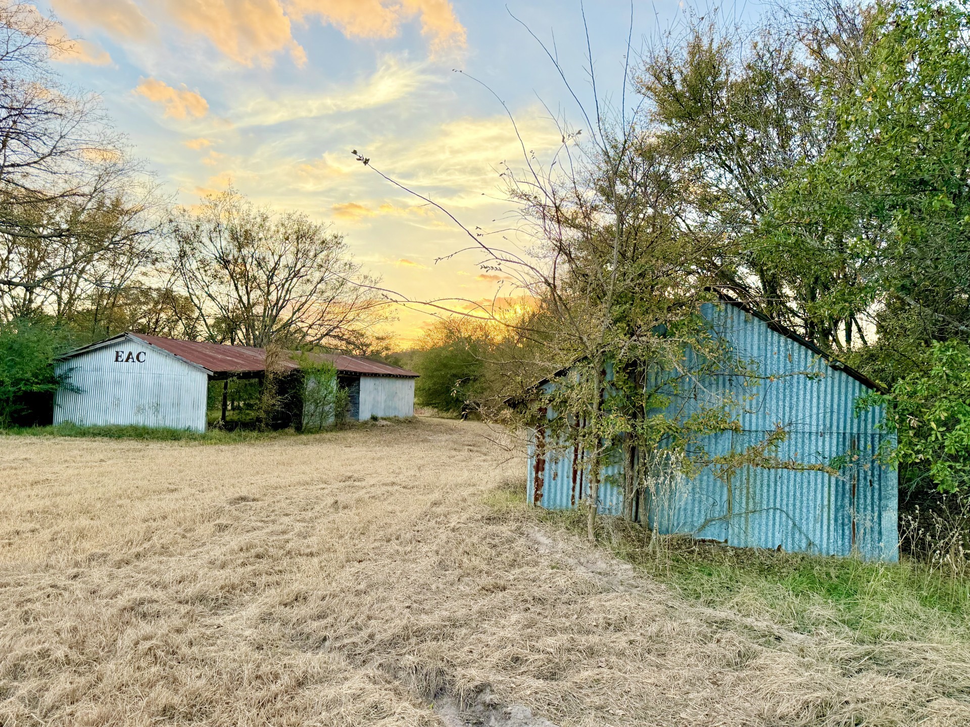 Tbd Rs County Road 1150 Emory TX 75440