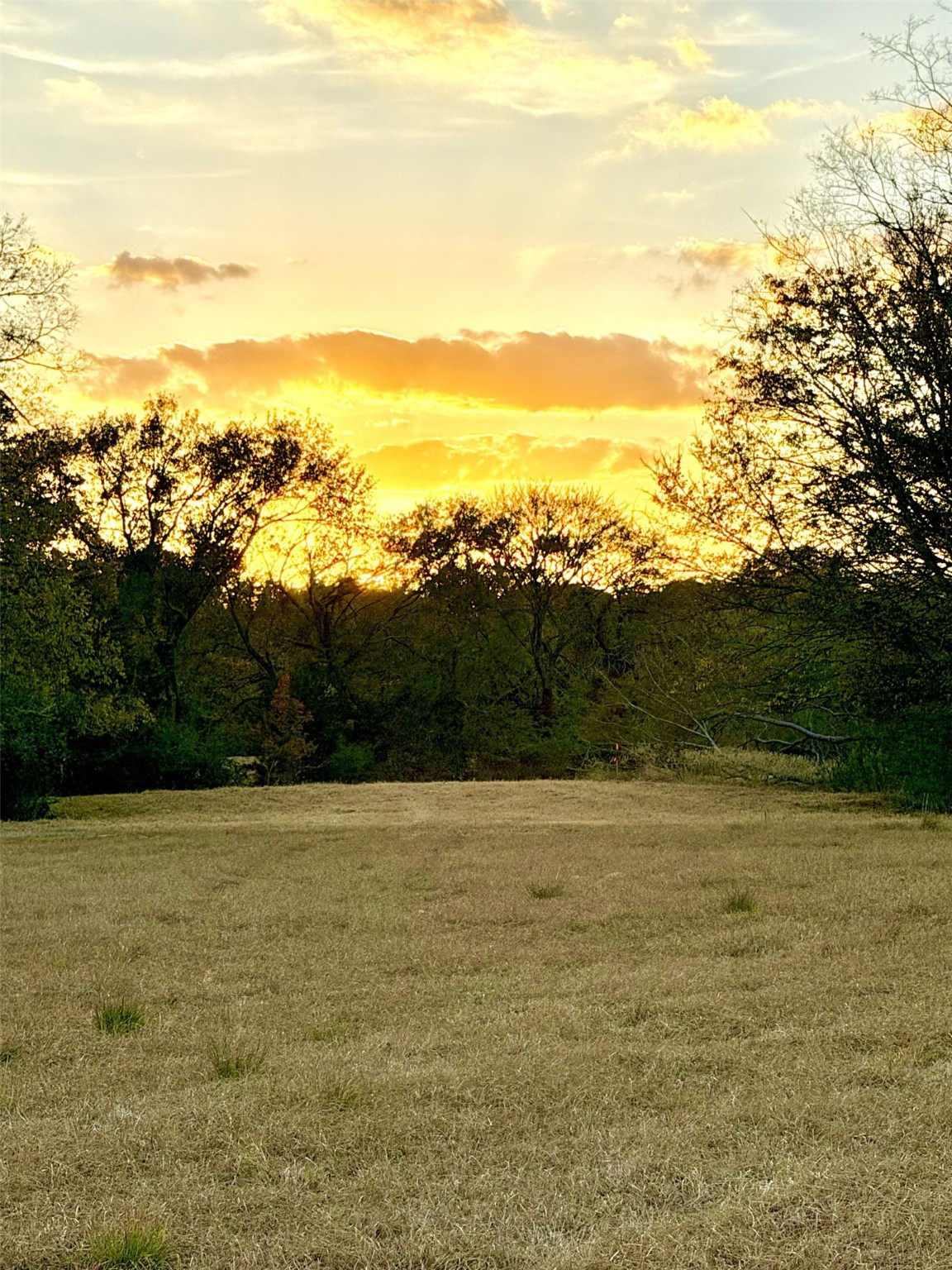 Tbd Rs County Road 1150 Emory TX 75440