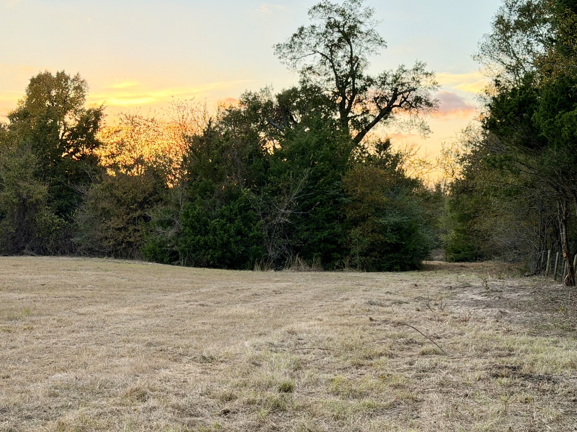 Tbd Rs County Road 1150 Emory TX 75440