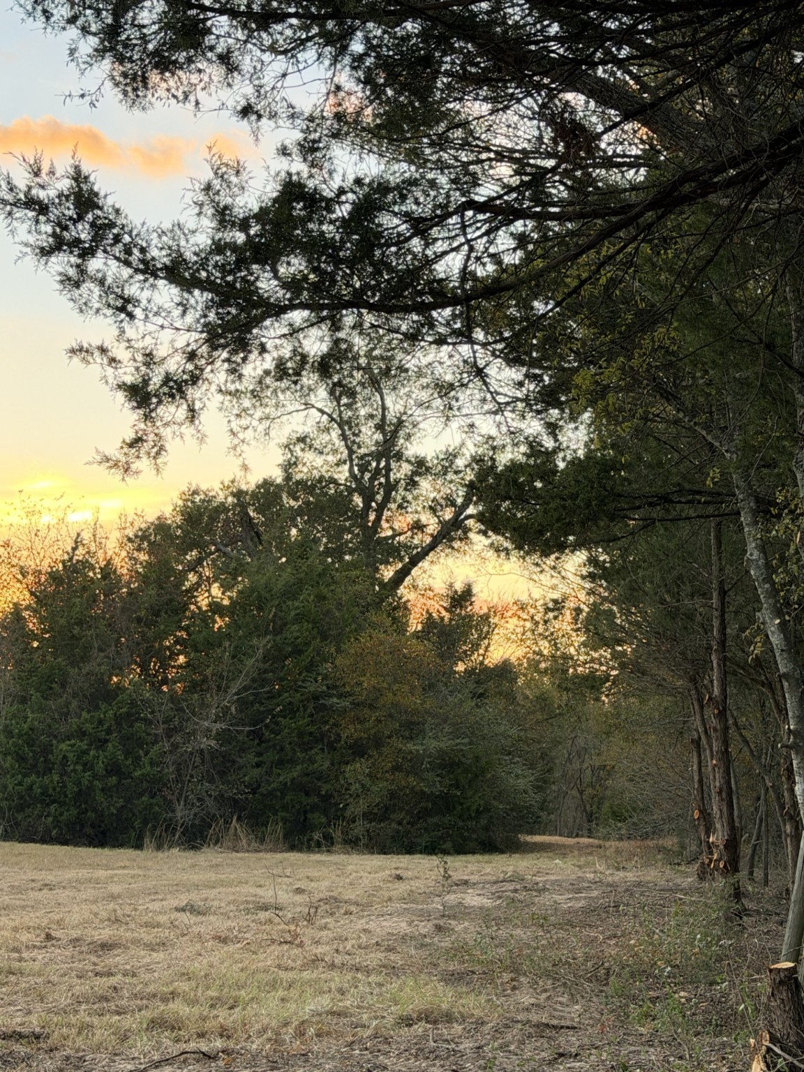 Tbd Rs County Road 1150 Emory TX 75440