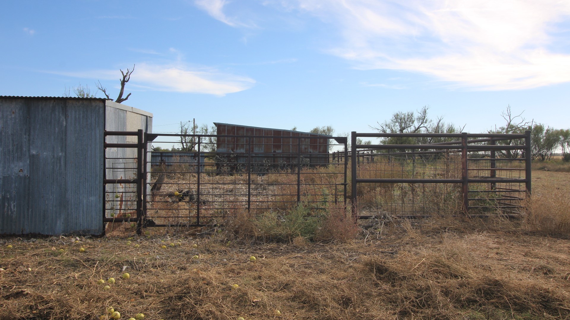 300 County Road 232 Rotan TX 79546