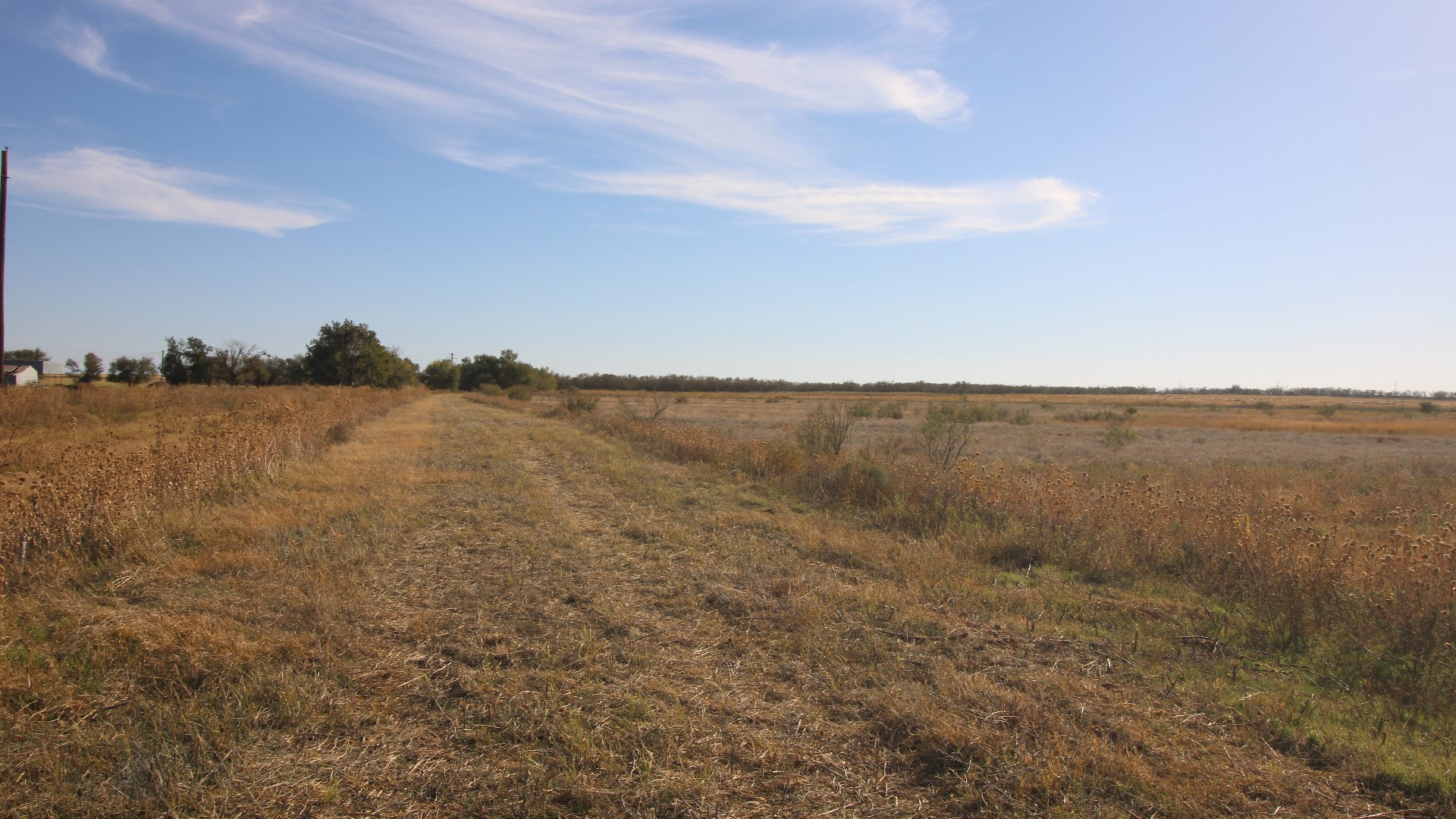300 County Road 232 Rotan TX 79546