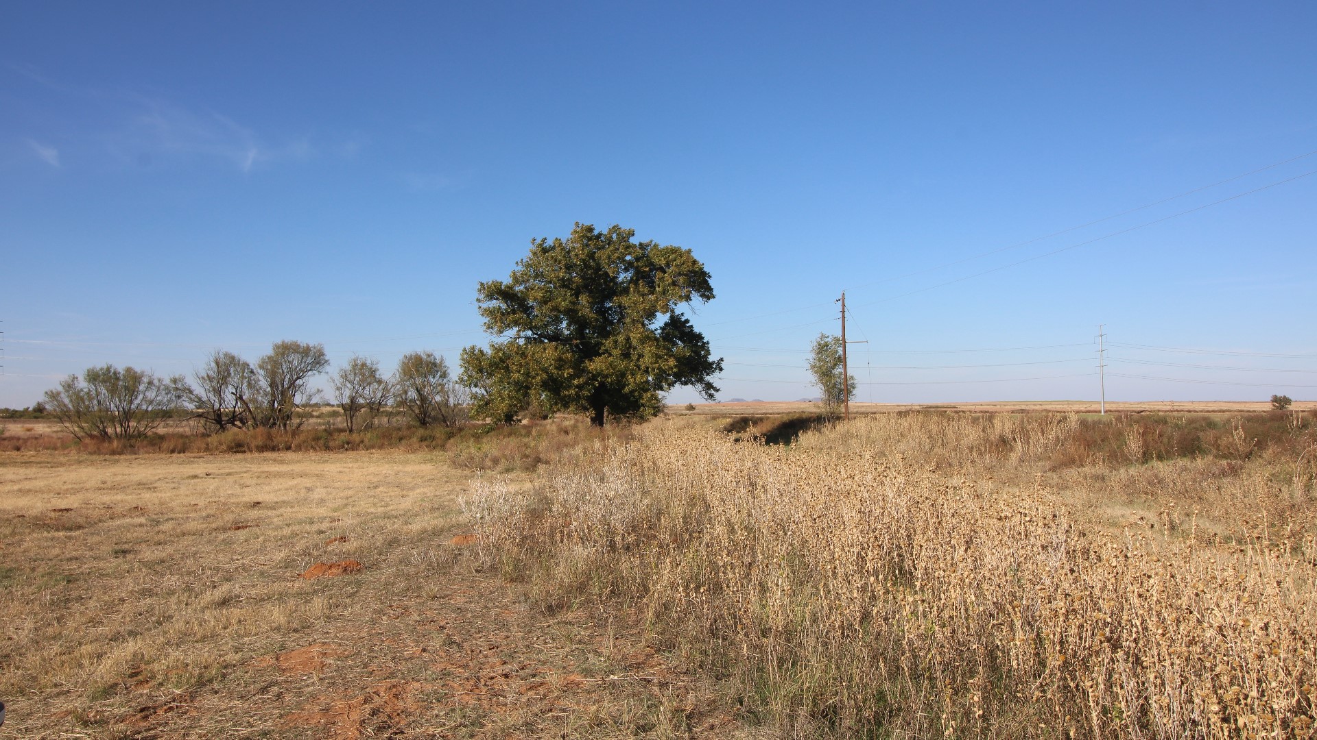 300 County Road 232 Rotan TX 79546