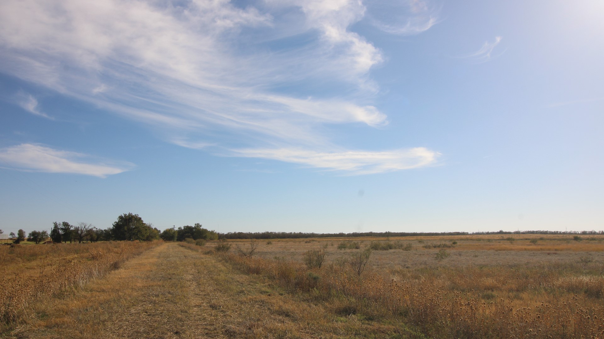 300 County Road 232 Rotan TX 79546
