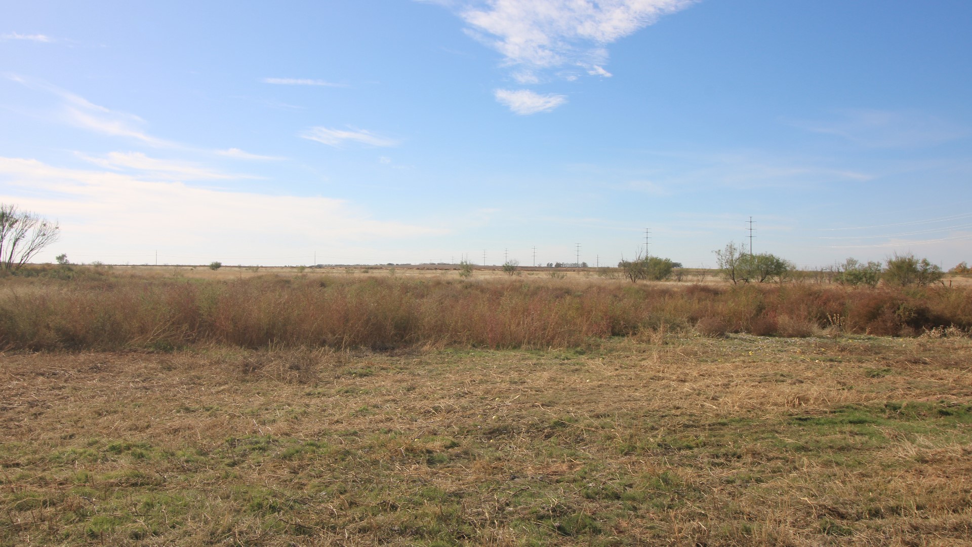 300 County Road 232 Rotan TX 79546