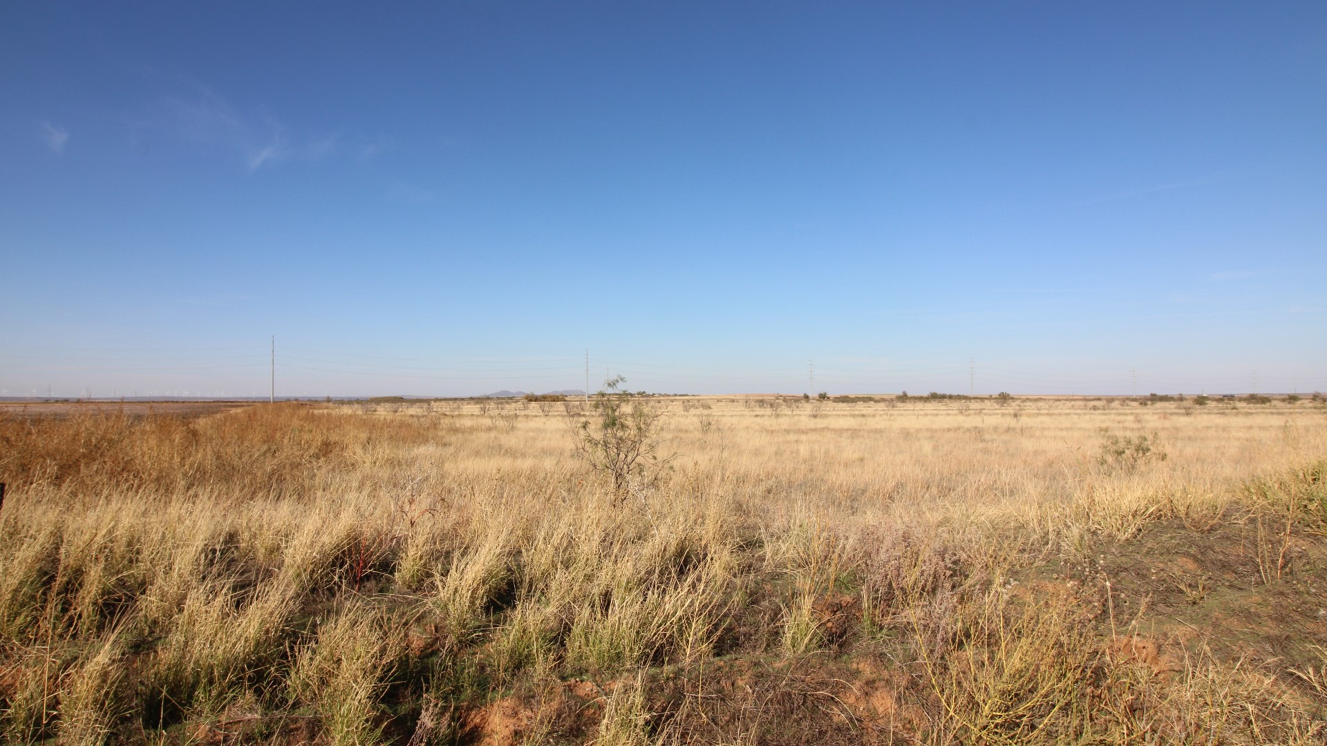300 County Road 232 Rotan TX 79546