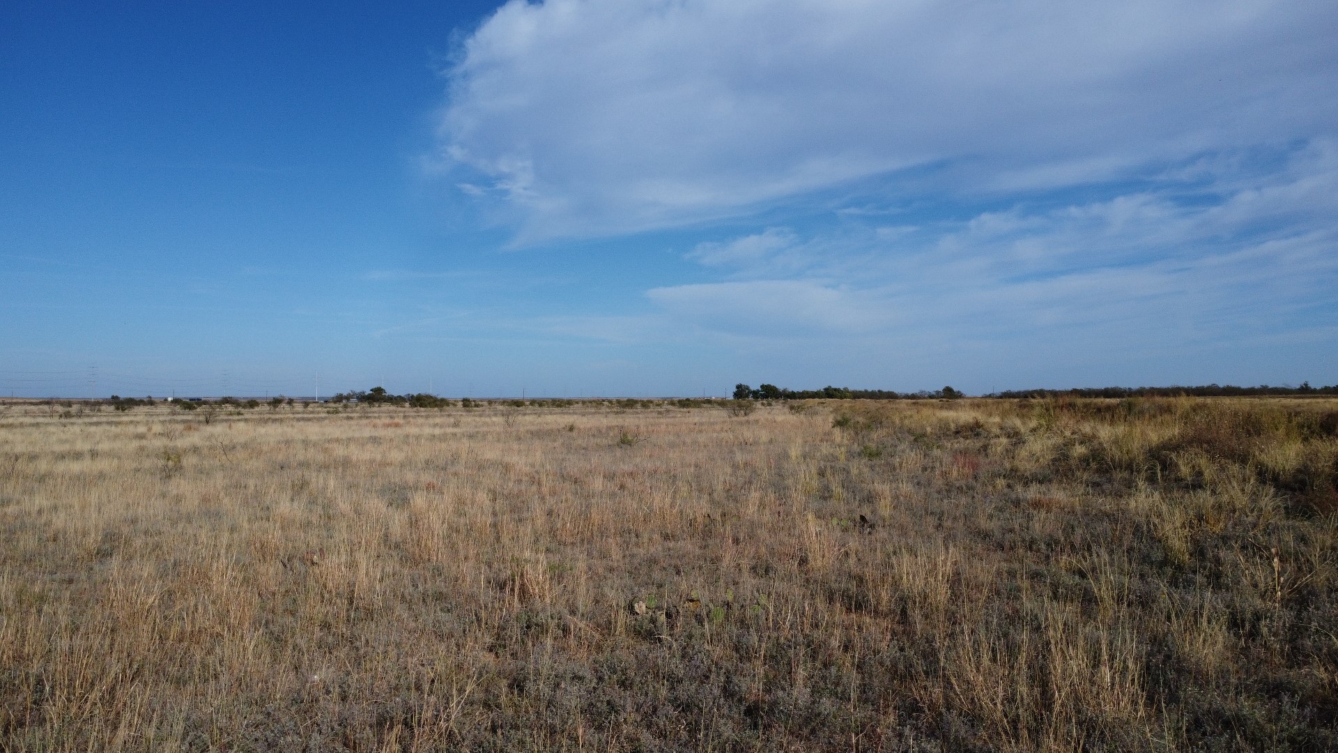300 County Road 232 Rotan TX 79546