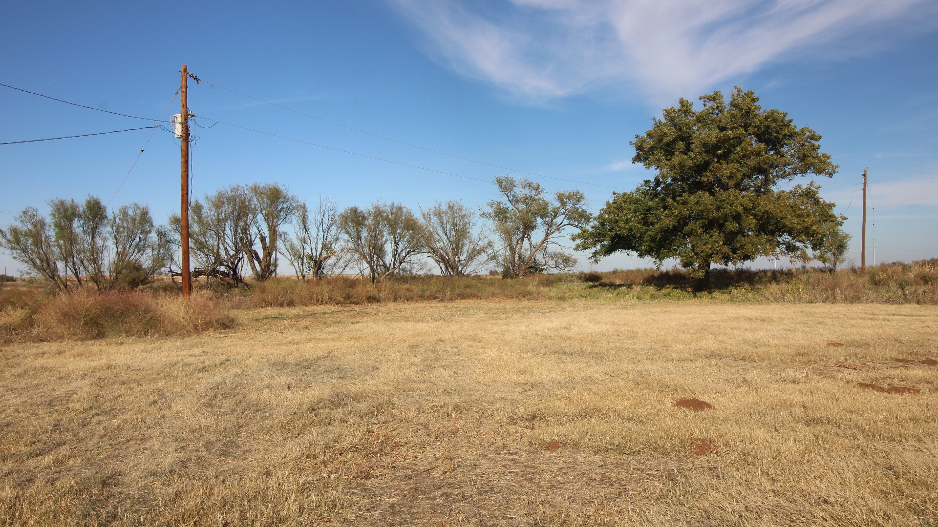 300 County Road 232 Rotan TX 79546