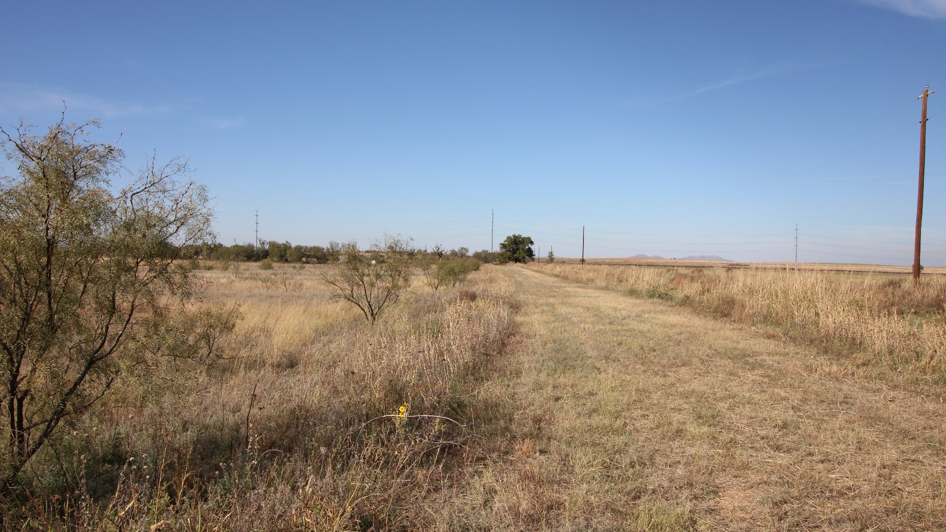 300 County Road 232 Rotan TX 79546
