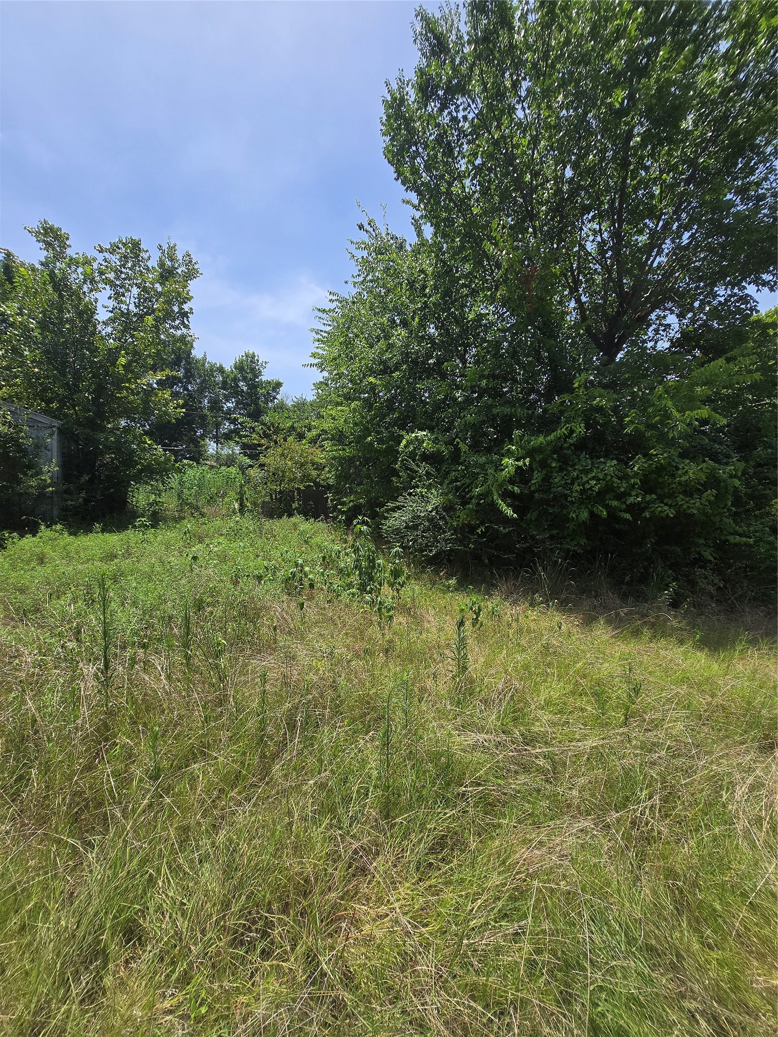 7160 Camp Street Azle TX 76020