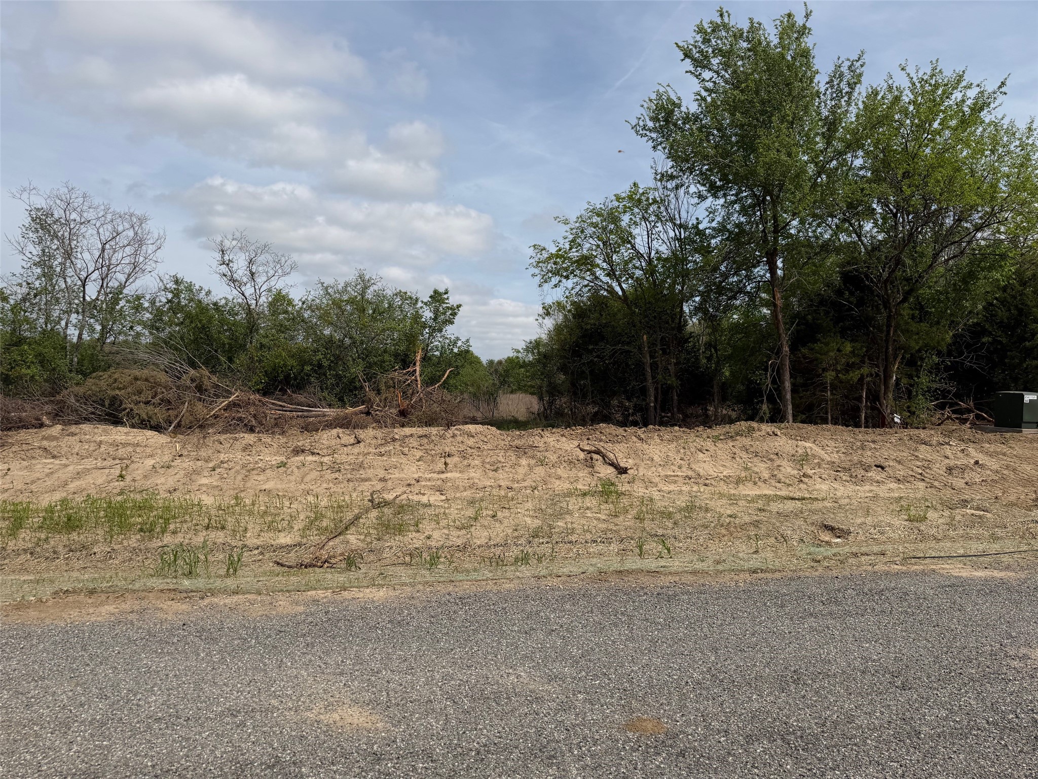 Lot 15 County Road 1110 Farmersville TX 75442